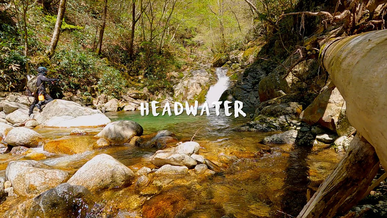 美しい源流の世界【渓流釣り】