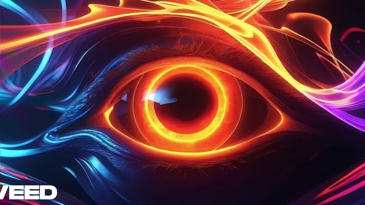 WIld Natura JNB Video