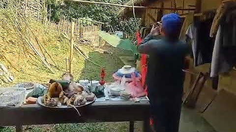 Lễ Cúng Cầu Thêm Thọ Cho Người Ốm Dân Tộc Dao Tiền Chiêm Hoá|Đặng Thịnh Vlogs