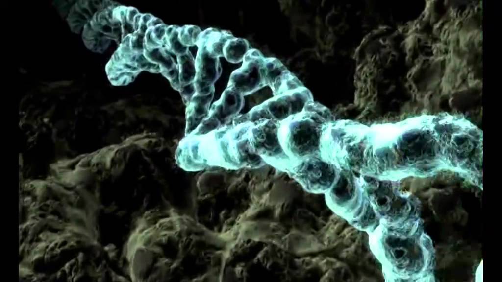 Can We Reverse Extinction? | Future Thinking | BRITLAB