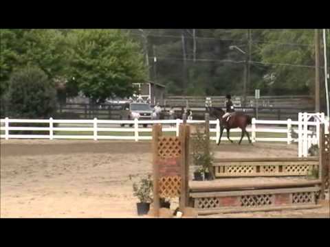 Jade riding Rob My Heart - Hunter Show Wills Park