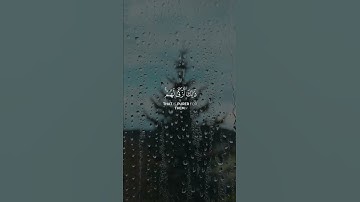 قُل لِّلْمُؤْمِنِينَ يَغُضُّوا مِنْ أَبْصَارِهِمْ (30) | سورة النور | محمود الحصري