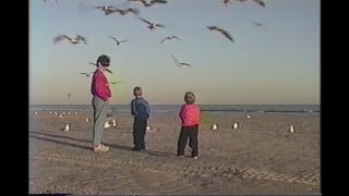 1993: Galveston Beach