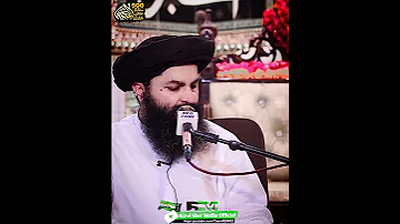 1500 سالہ جشن ولادت ہے ربیع الاول اسٹیٹس علامہ حسن رضا نقشبندی Rizvi Sher Media Official 