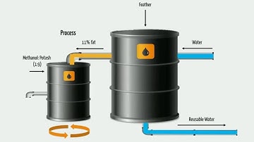 TFF Concept Video Bioler- Smartinis