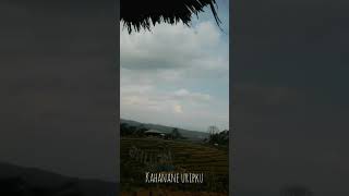 Download Lagu Ndarboy Genk- Wong Sepele SNAP WA MP3