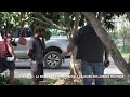 Koumac : la brigade verte apprend à élaguer des arbres fruitiers