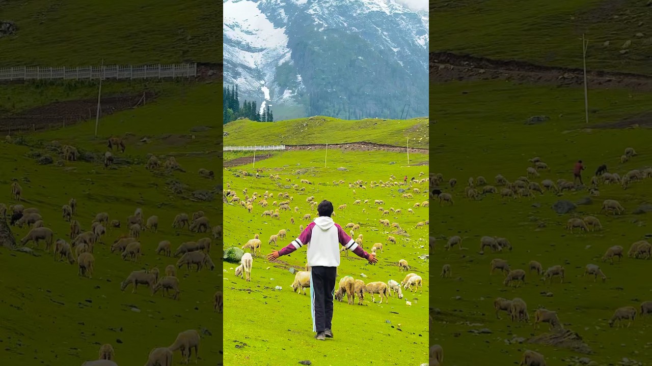 HEAVEN ON EARTH KASHMIR