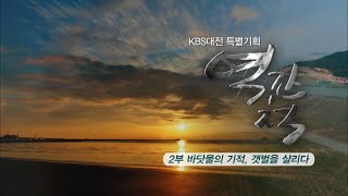 KBS대전 특별기획 역간척 2부 바닷물의 기적, 갯벌을 살리다 / KBS대전 20170920 방송