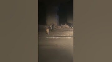 #Python in guntur (dt)