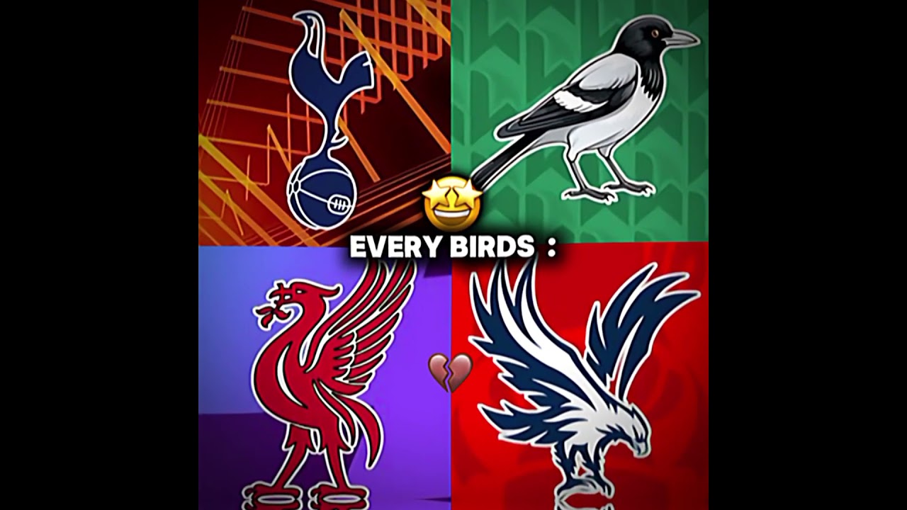 Bird of the year 💀🤯