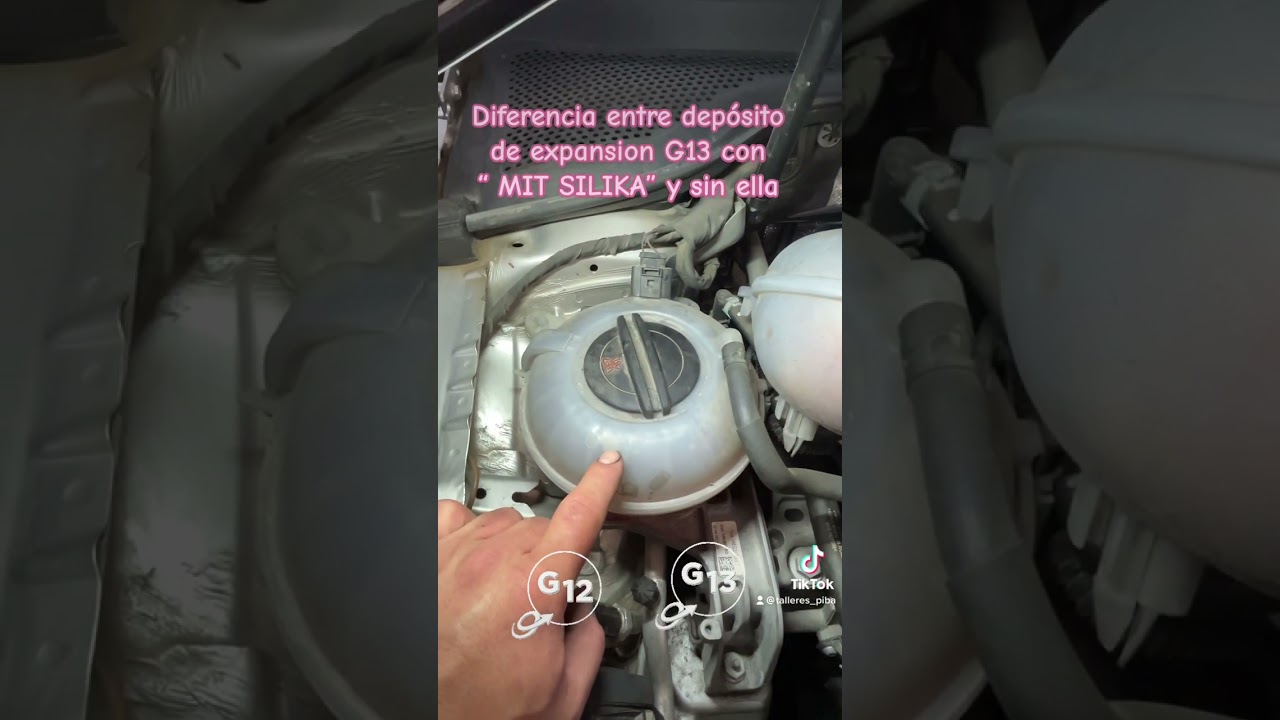 Diferencia depósito expansion G13 con bolsa de silicatos “MIT SILIKAT” y  sin ella