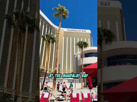 Seminole Hard Rock-Hollywood, FL Guitar Tower-Pool View-King Room Tour