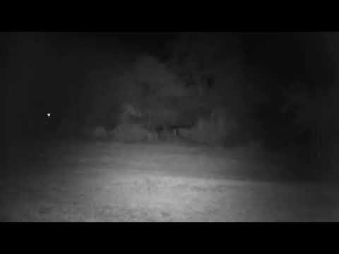camera iphone 8 plus apk Djuma Private Game Reserve Live Stream