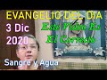 Evangelio Del Dia de Hoy - Jueves 3 Diciembre 2020- Sangre y Agua