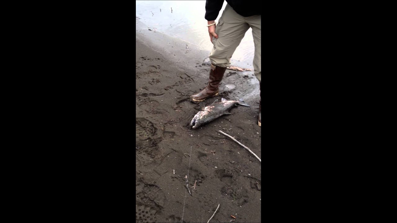 Salmon fishing in Unalakleet, Alaska