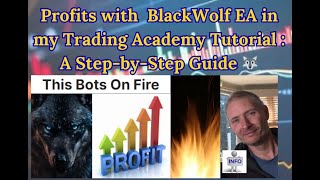 Profits with  BlackWolf EA in my Trading Academy Tutorial : A Step-by-Step Guide 🐺