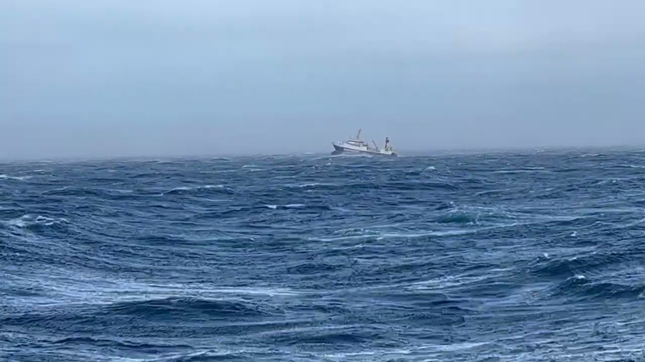 Vestgrønland. Rejerfiskeri