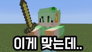 리소스팩 잘못 만든 마플(마인크래프트)