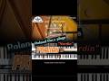 Roland Racz plays - NORDIN (preview)