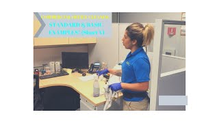 Office Cleaning Standard & Basic Example (Short Version)