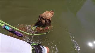 First Swim