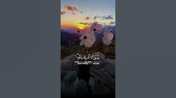 القران الكريم راحة نفسية #حالات_واتس_اب #اكسبلور #القرآن_الكريم #راحة_نفسية #تلاوة_خاشعة 💙🩵💜