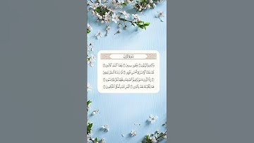 سورة التين Surah At-Tin #quran #قرآن #سورة_التين