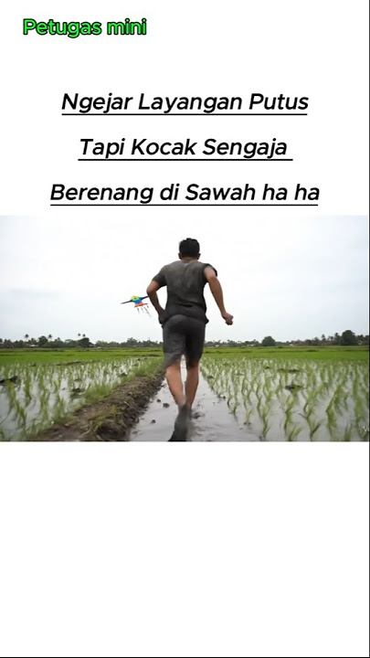 Ngejar Layangan Putus #short #layangan