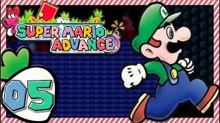 Super Mario Bros. 2 - Part 5 - The Jungle World Maybe screenshot 1