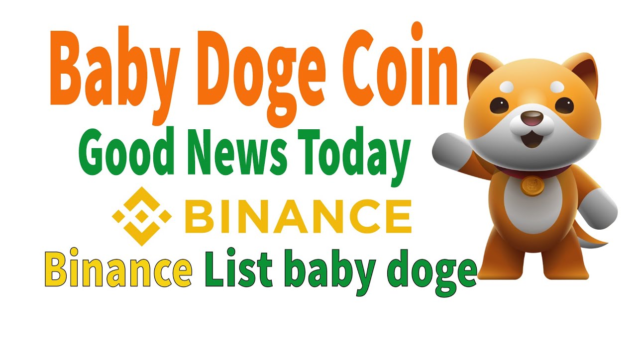 Baby doge coin Binance List Possible in 2022? | big Bull run Coming | BitBD
