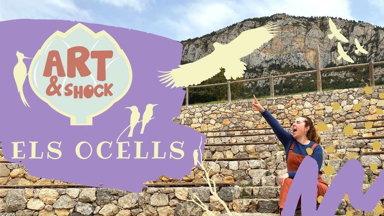 🕊️ ELS OCELLS 🦉 - ARTIXOC ❤️ VÍDEOS INFANTILS EN CATALÀ