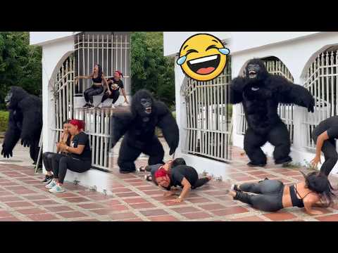 Try Not To Laugh Challenge – Internet Funniest Compilation 😂  Funny Videos