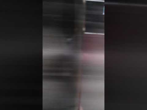 都営大江戸線　築地市場-勝どきの音