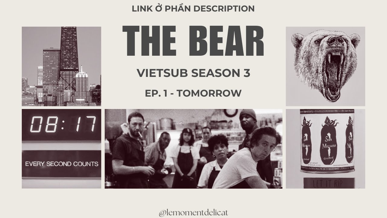 The Bear Vietsub SS3: Tổng Hợp và Phân Tích Chi Tiết