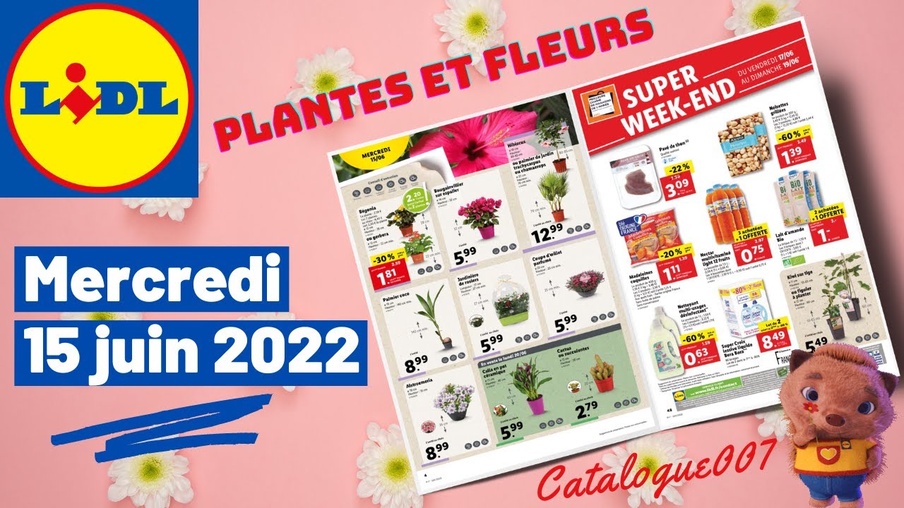 Sitemapcdatahttpsshopinf Inetcomfoire Aux Plantes Lidl 2022