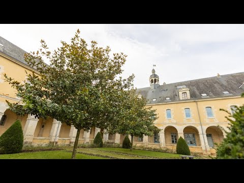 Mamers in three films: town heritage, Notre-Dame and a street-level walk