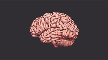 How to Control your Brain (before it