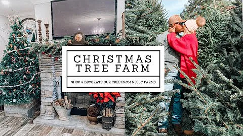 CHRISTMAS TREE FARM VLOG | DECORATE OUR TREE WITH US | NEELY FARMS