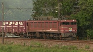 【EF510】【EF81】 北陸本線を走る貨物列車 2016年5月