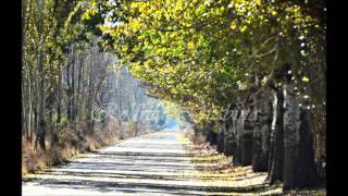 Video thumbnail of "Cada vez que te nombro Mendoza -Jorge Viñas (Tonada)"