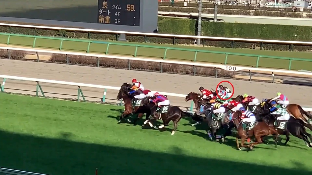中山競馬場芝1,200m映像比較 Dブロック4歳上GⅡオーシャンS vs Cブロック4歳上3勝アクアマリンS