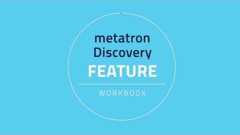 metatron discovery feature - [Workbook]
