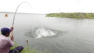 Krishna river 🎣Fish Hunting Big Rohu fishes Catching Awesome Fishing single hook Village Fishing 🐟🐟