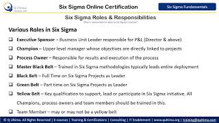 Six Sigma Roles & Responsibilities