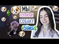 Мы купили СОБАКУ!!! |  Выпуск 10 |  Симс 4 | CUTERLAND