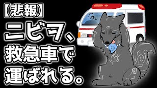 【雑談配信】右わき腹の激痛で救急車で運ばれた話🚑🐺💦【津軽弁狛犬Vtuber】