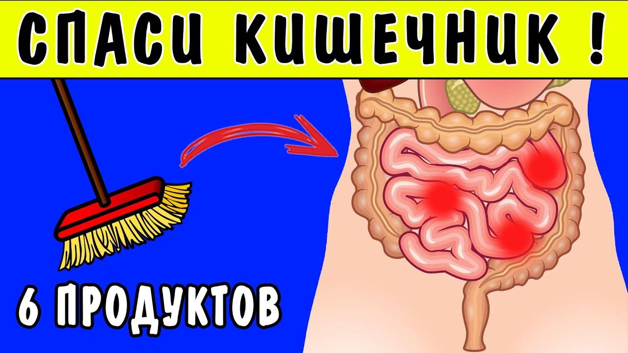 Кишечник очищается перед. Загрязненный кишечник. Очистка тонкого кишечника.