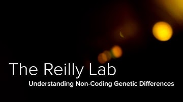 Non-Coding Genomes, Mutations, and Machine Learning - The Reilly Lab at Yale School of Medicine