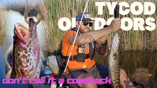 Catching Northern Snakehead Fish Top Water in the Patapsco River, MD USA!